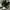 Nike Streetwear Sneakers Pria white black photo 1