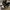 Nike Streetwear Sneakers Pria white black photo 4