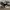 Nike Streetwear Sneakers Pria white black photo 2
