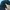 The North Face Gorpcore Windbreaker Pria black photo 7