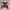 New Look Sportswear Bomber jacket Wanita multicolor photo 2