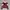 New Look Sportswear Bomber Jacket Wanita Multicolor