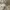 GU Y2K Casual Casual pants Pria tan cream photo 3