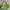 Loewe Y2K Shoulder Bag Wanita Green