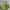 Loewe Y2K Shoulder Bag Wanita Green