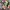 Custo Barcelona Y2K Avant Garde T-shirt Wanita multicolor photo 5