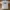 VANS Vintage Streetwear T-shirt Pria white photo 1