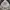 Japanese brand Y2K Goth T-shirt Wanita white black photo 6