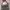 Louis Vuitton Casual Handbag Wanita multicolor burgundy photo 2