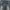 Nudie Streetwear Casual Jeans Pria green blue photo 4