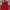 Dunlop Minimalist Windbreaker Pria red photo 1