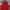 Dunlop Minimalist Windbreaker Pria Red