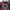 Dunlop Minimalist Windbreaker Pria Red