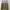Levi's Streetwear Casual Polo shirt Pria multicolor tan photo 1