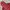 Billionaire Boys Club Vintage Streetwear Sweatshirt Pria red photo 2