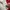 Billionaire Boys Club Vintage Streetwear Sweatshirt Pria red photo 8
