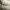 Nike Streetwear Minimalist Sneakers Pria white black photo 5