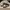 Nike Streetwear Minimalist Sneakers Pria white black photo 3