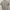 Sportswear Casual Polo Shirt Pria White Red