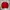 Bitch Skateboard Streetwear Skater Sweatshirt Pria red photo 2