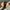 MLB Vintage Sportswear Windbreaker Pria black yellow photo 1