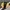 MLB Vintage Sportswear Windbreaker Pria Black Yellow