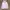 Anti Social Social Club Streetwear Hoody Pria pink photo 2