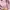 Anti Social Social Club Streetwear Hoody Pria pink photo 3