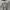 Converse Casual Polo shirt Pria gray photo 3