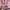 Streetwear Sweater Wanita pink photo 2