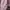 Streetwear Sweater Wanita pink photo 4