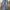 Hazzys Vintage Y2K Jeans Pria blue photo 2