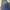 Hazzys Vintage Y2K Jeans Pria blue photo 5