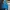 Adidas Gorpcore Sportswear Puffer Jacket Pria Blue