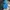 Adidas Gorpcore Sportswear Puffer jacket Pria blue photo 3