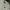 Giordano Casual Polo shirt Pria white photo 2