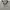 Giordano Casual Polo shirt Pria gray photo 1