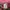 Puma Sportswear Track jacket Wanita pink photo 7