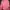 Puma Sportswear Track jacket Wanita pink photo 2