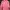 Puma Sportswear Track Jacket Wanita Pink