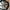 New Era Vintage Hat Pria white photo 4