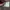 Casual Bodycon dress Wanita burgundy green photo 5