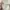 Minimalist Culotte Wanita cream photo 3