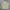 ZARA Luxury Avant Garde Polo shirt Pria multicolor yellow photo 2