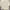 Casual Sweatshirt Wanita tan cream photo 1