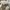 Puma Sportswear Sneakers Pria white gray photo 3