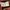 Vivienne Westwood Luxury Midi dress Wanita brown photo 5