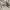 ZARA Luxury Maxi dress Wanita cream photo 7