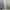 ZARA Luxury Maxi dress Wanita cream photo 2