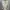 ZARA Luxury Maxi dress Wanita cream photo 5